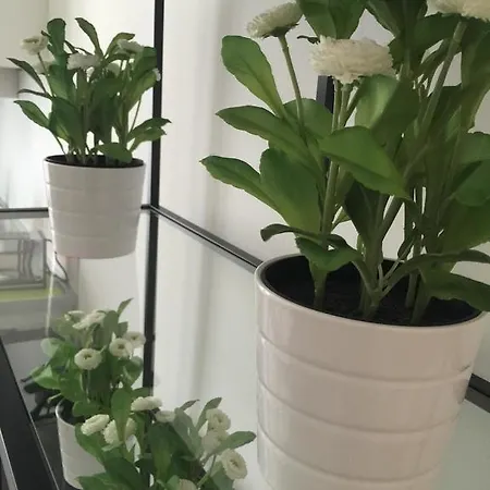 Studio Chieti Апартаменты